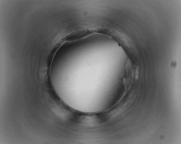 X0000094790548200711161436
