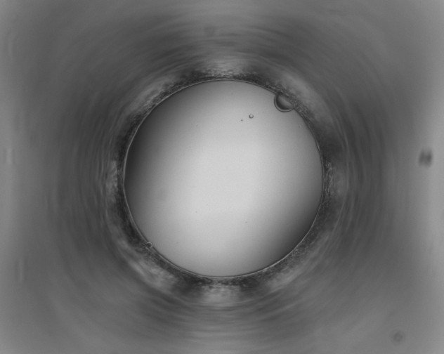 X0000094790549200711161436