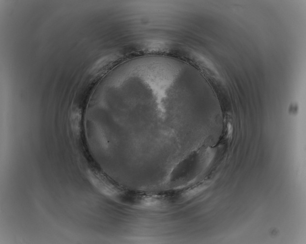 X0000094790550200711161436