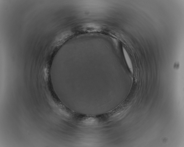 X0000094790551200711161436