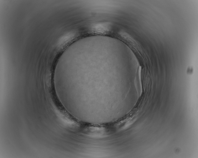 X0000094790552200711161436