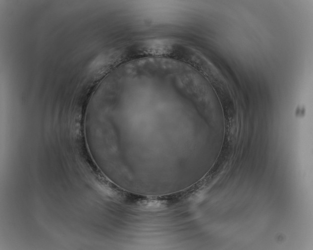 X0000094790553200711161436