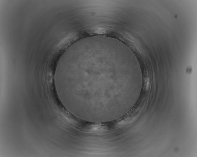 X0000094790555200711161436