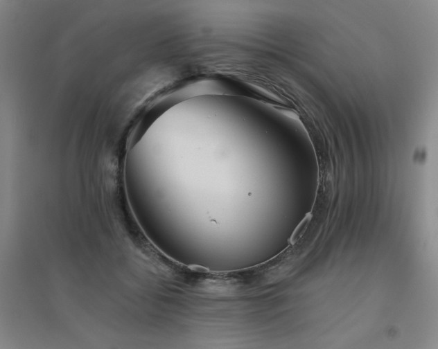 X0000094790556200711161436
