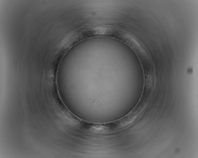 X0000094790557200711161436