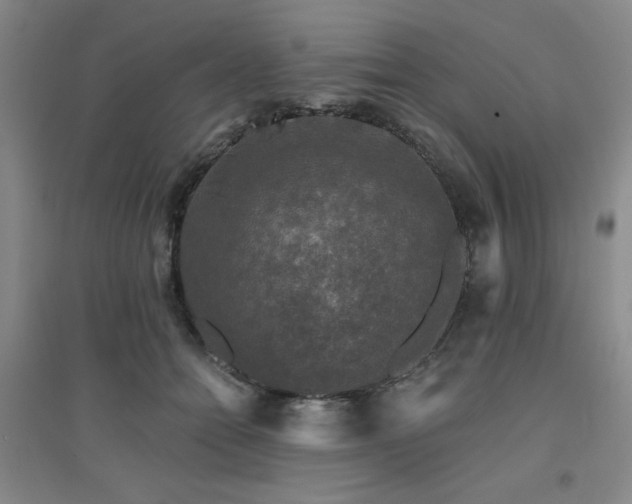 X0000094790558200711161436