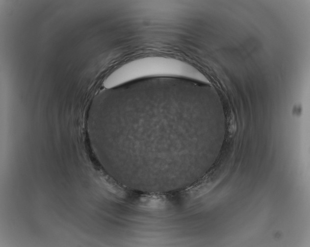 X0000094790559200711161436
