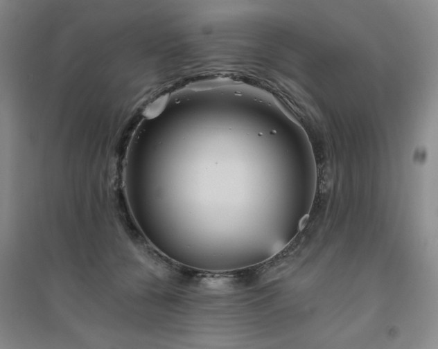 X0000094790560200711161436