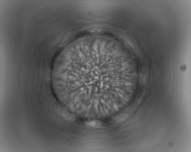 X0000094790561200711161436