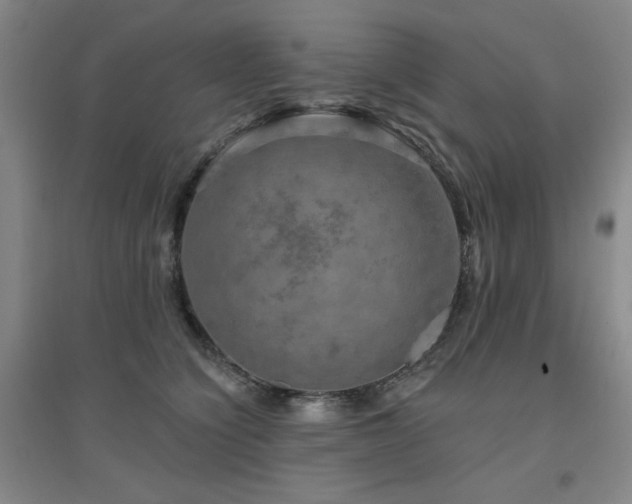 X0000094790564200711161436