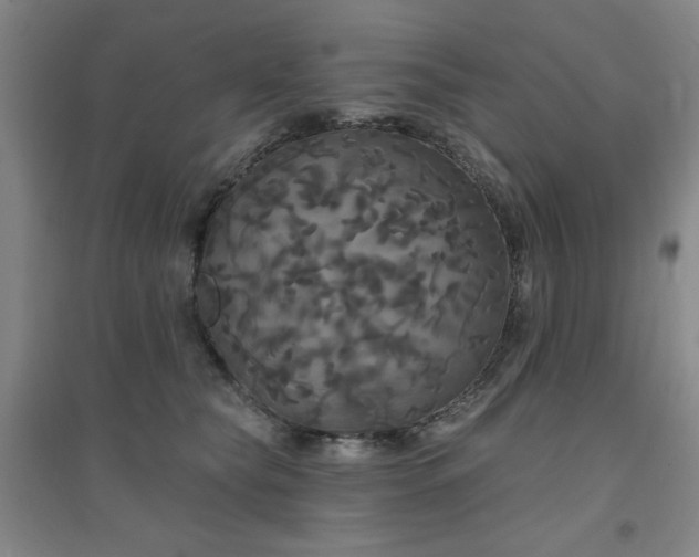 X0000094790565200711161436
