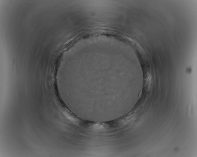 X0000094790566200711161436
