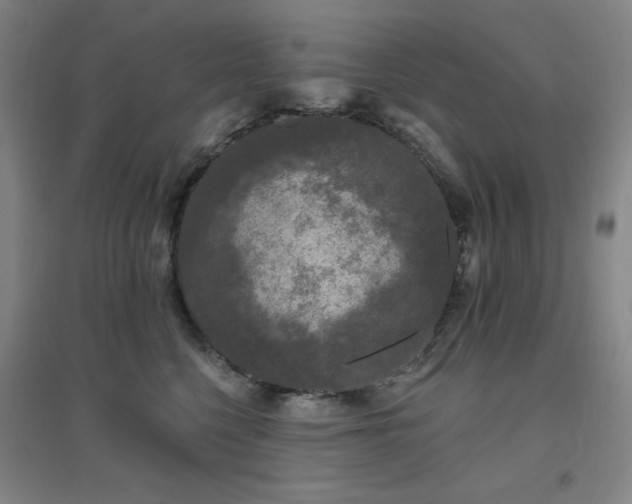 X0000094790568200711161436