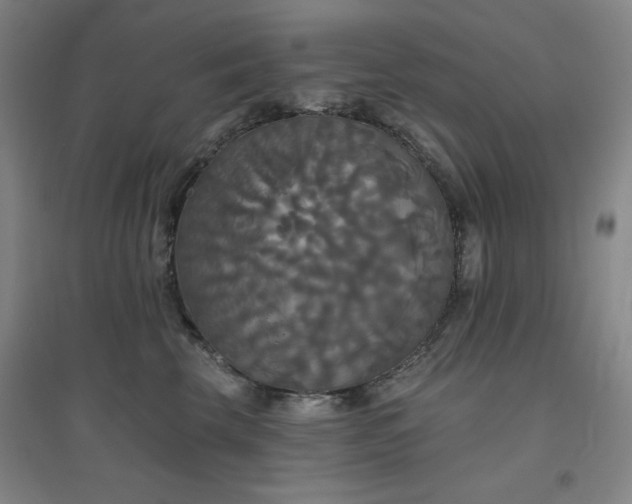 X0000094790569200711161436