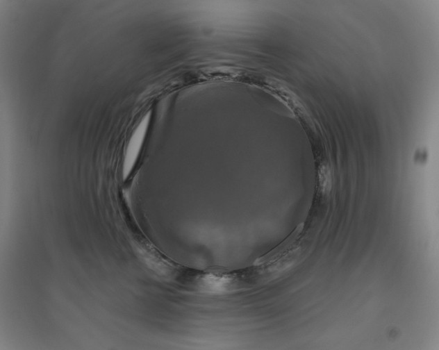 X0000094790570200711161436