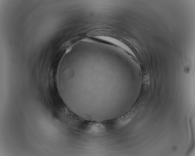 X0000094790572200711161436