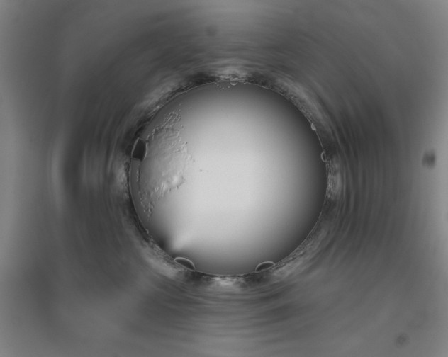 X0000094790573200711161436
