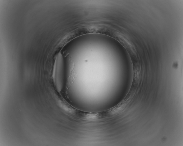 X0000094790574200711161436
