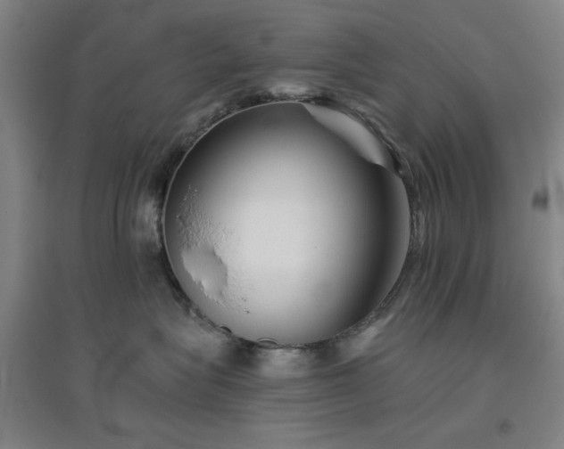X0000094790575200711161436