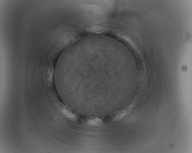X0000094790576200711161436