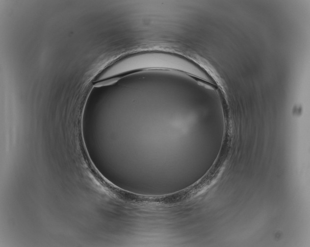 X0000094790577200711161436