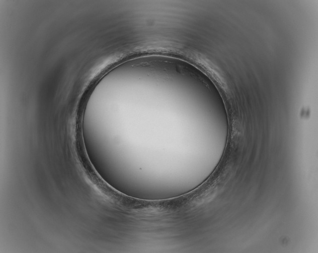 X0000094790578200711161435