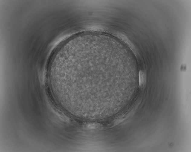 X0000094790579200711161435