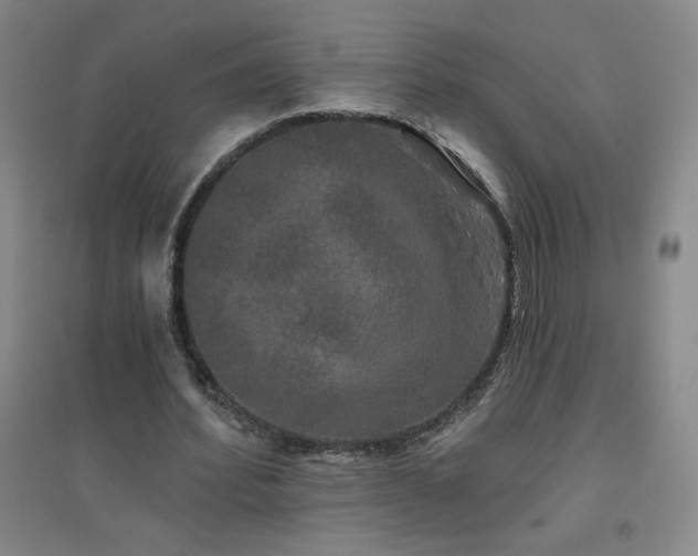 X0000094790580200711161435