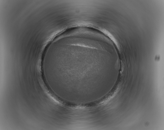X0000094790581200711161435