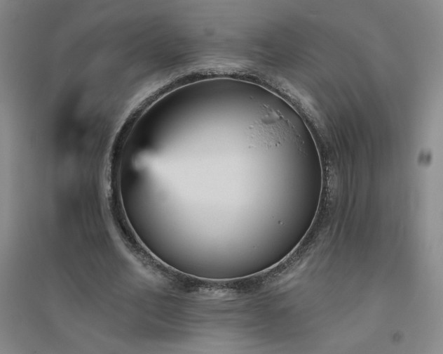 X0000094790582200711161435