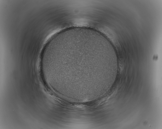 X0000094790583200711161435