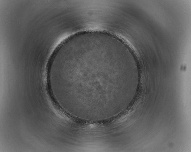 X0000094790584200711161435