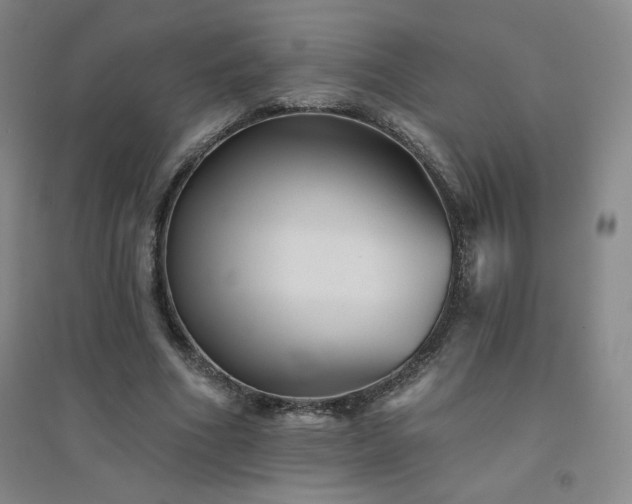 X0000094790586200711161435