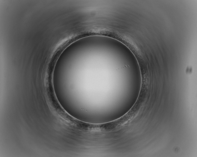 X0000094790587200711161435