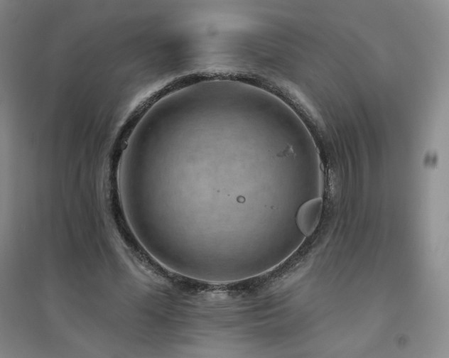 X0000094790588200711161435