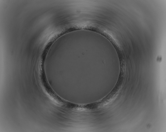 X0000094790590200711161435