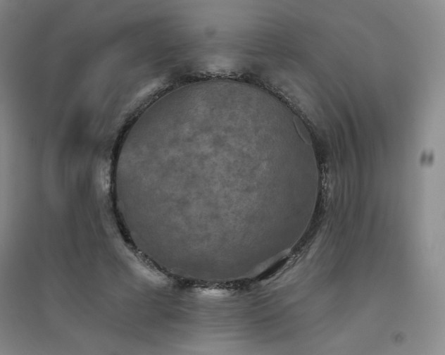 X0000094790593200711161435