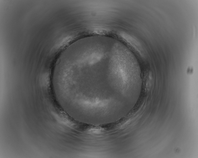 X0000094790595200711161435