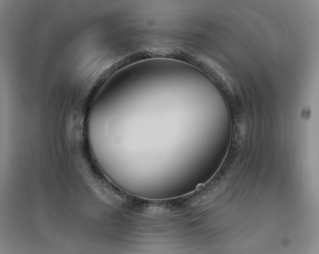 X0000094790596200711161435