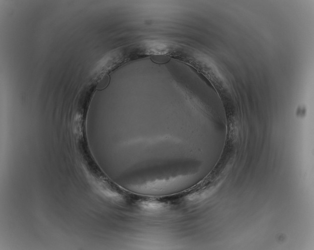 X0000094790598200711161435