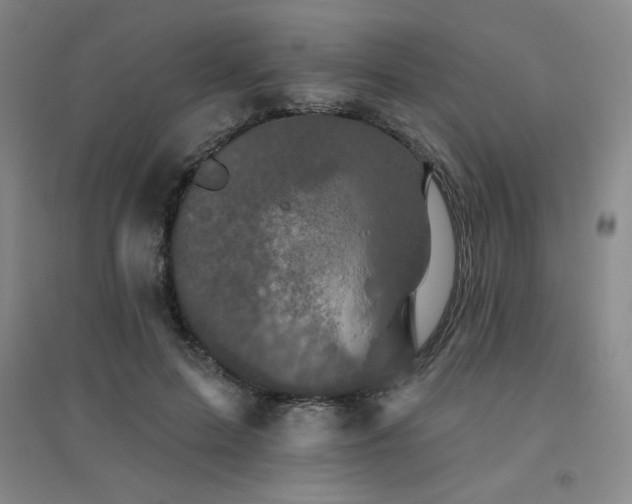 X0000094790599200711161435
