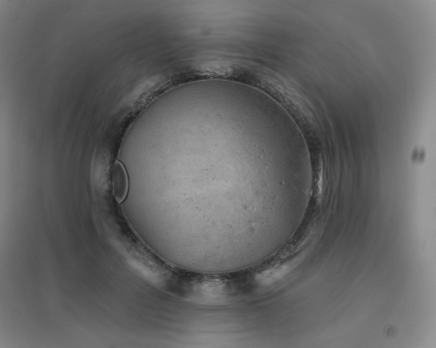 X0000094790600200711161435