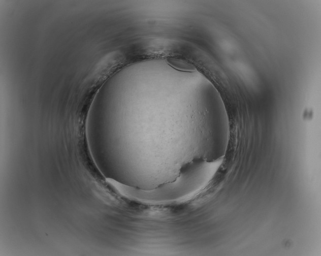 X0000094790601200711161435