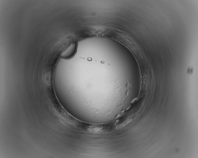 X0000094790602200711161435