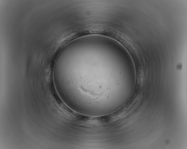 X0000094790604200711161435