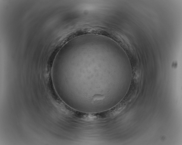 X0000094790607200711161435