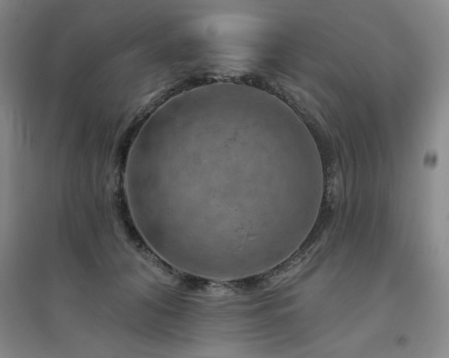 X0000094790608200711161435