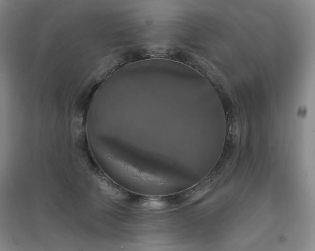 X0000094790610200711161435