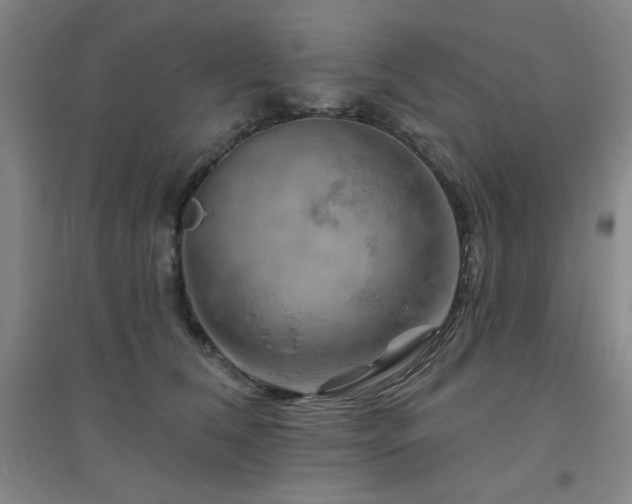 X0000094790612200711161435