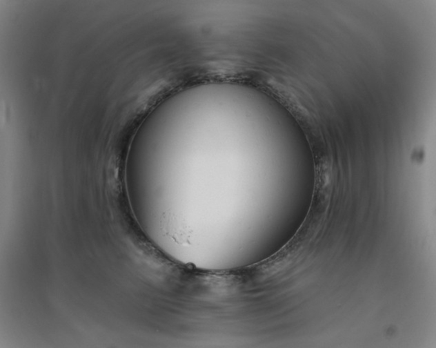 X0000094790615200711161435